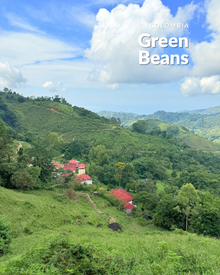 Green Coffee for Roasting